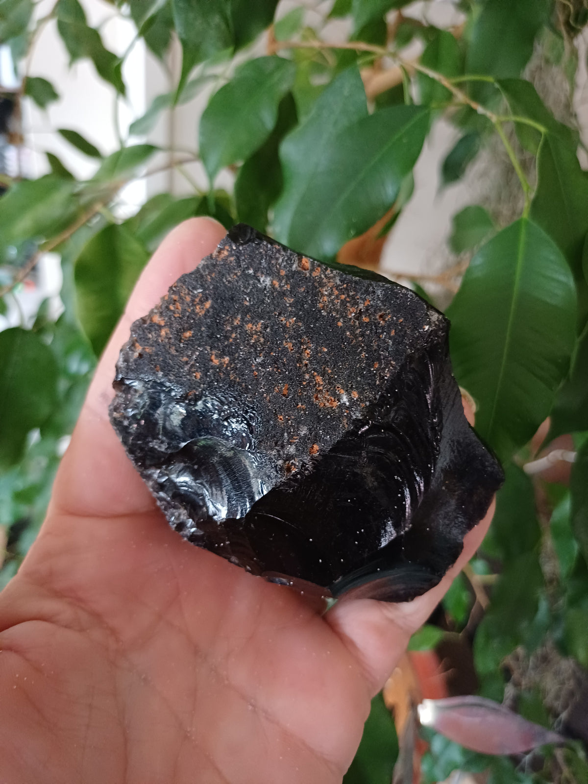 Black Obsidian, Large 8 cm, view 2