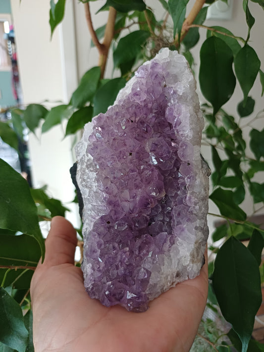 💜Purple Amethyst Quartz Geode