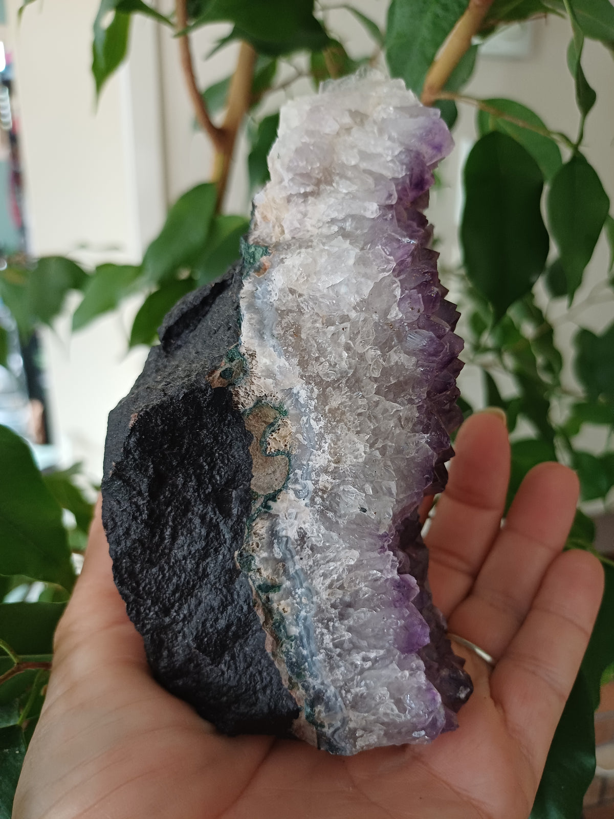 Purple Amethyst Geode, view 4