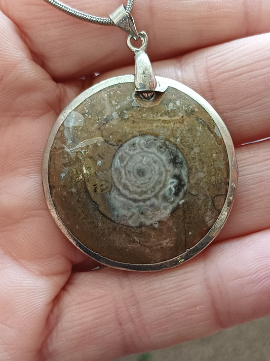 Ammonite Fossil Jasper Pendant