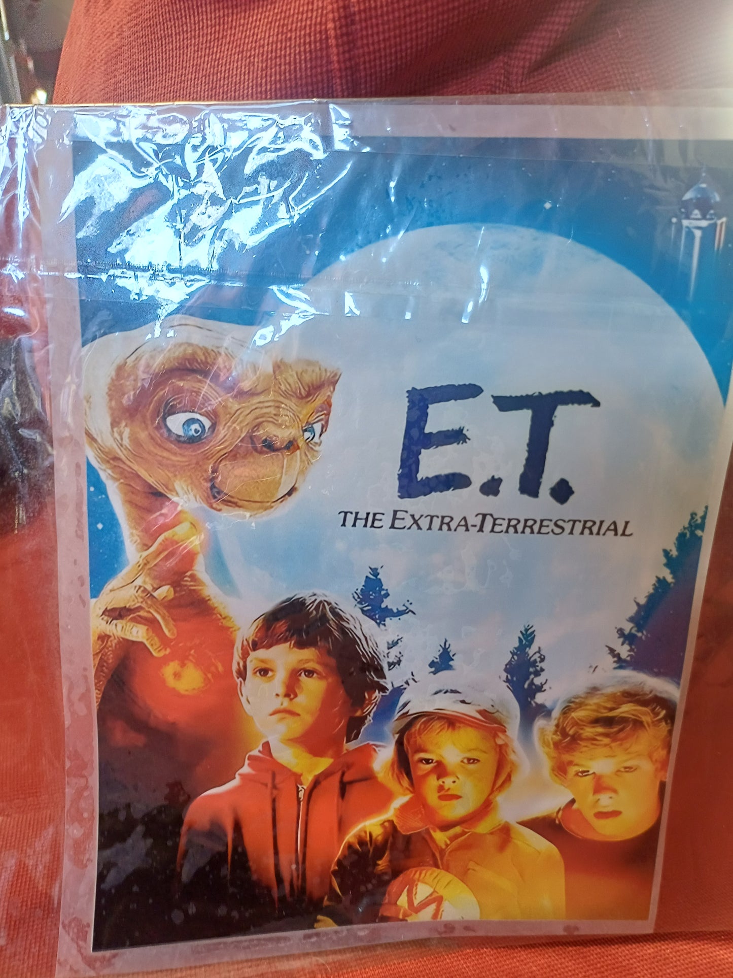 DTF TRANSFER