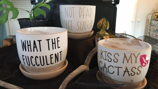 Humour plant pot