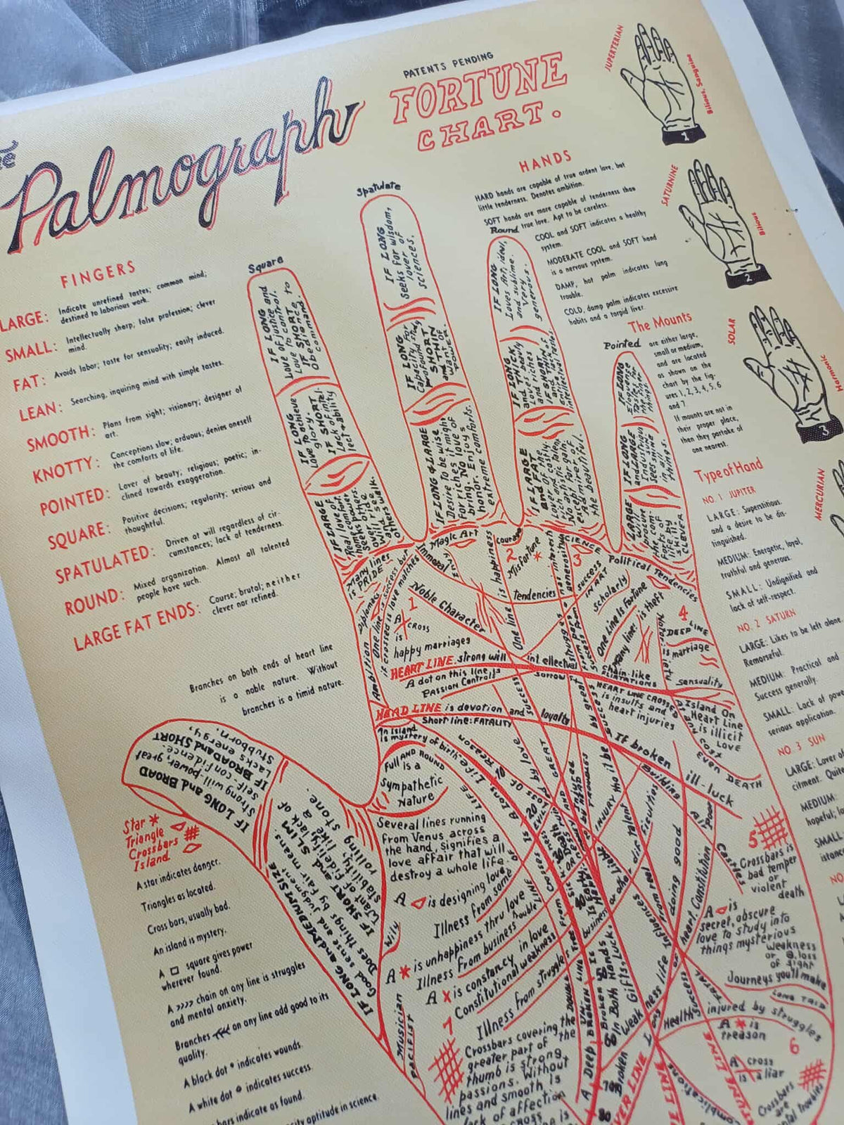 Palmistry Chart Canvas Print, 60 cm
