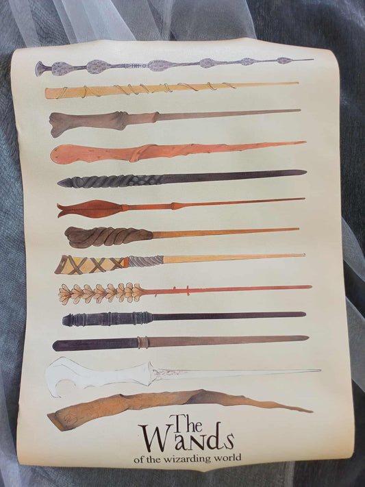 Wizard wands canvas print – Wands