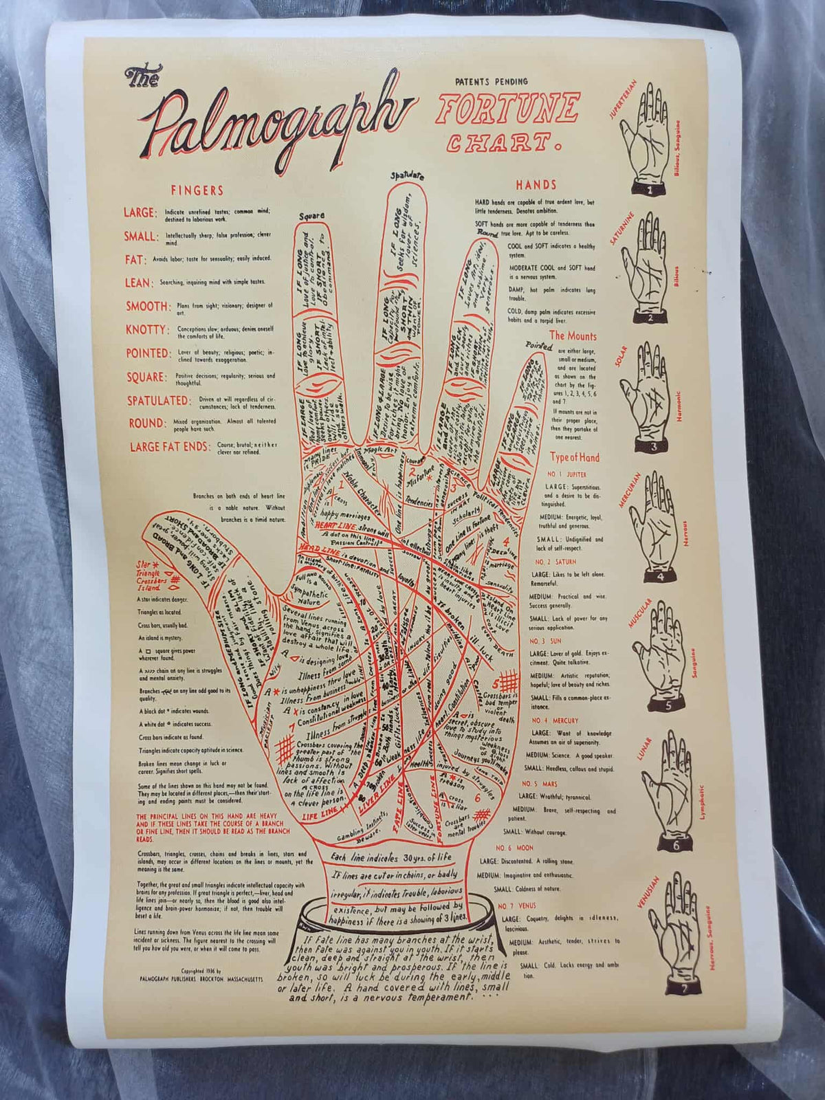 Palmistry Chart Canvas Print, 60 cm, view 2