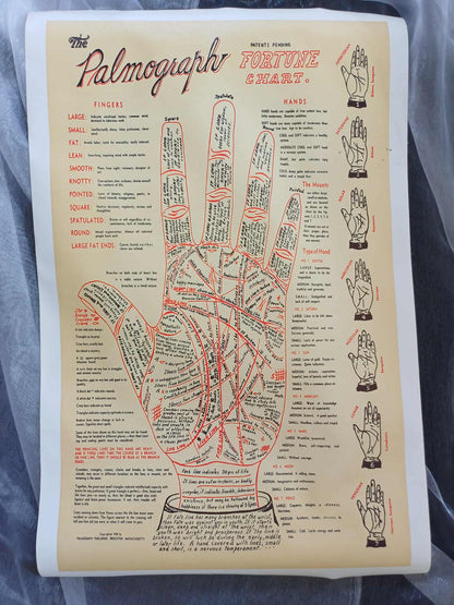 Palmistry Chart Canvas Print, 60 cm, view 2